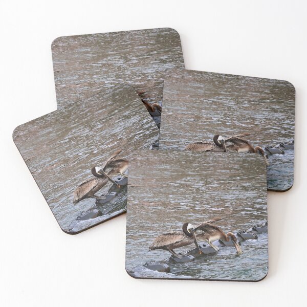 Item preview, Pelicans Perched on Water Barrier designed and sold by Phakade's Photos.