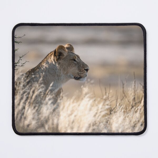 Item preview, Golden Watch – Lioness in the Grasses of Kgalagadi designed and sold by DavideAntoniani.