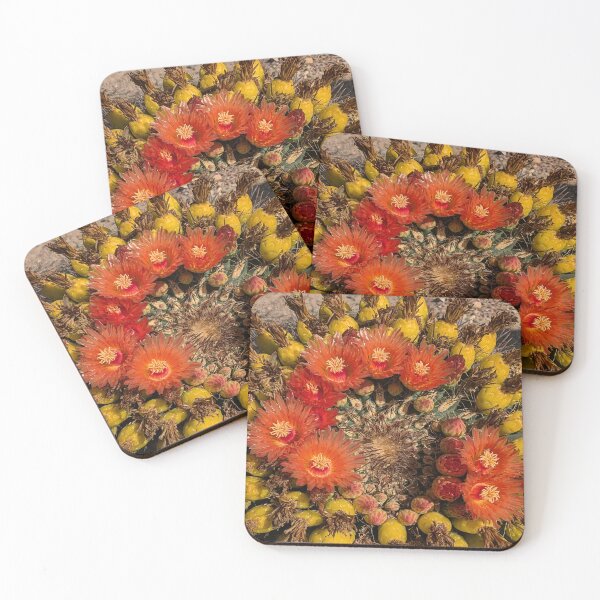Item preview, Lovely Orange Barrel Cactus Flowers designed and sold by simonjayphotos.