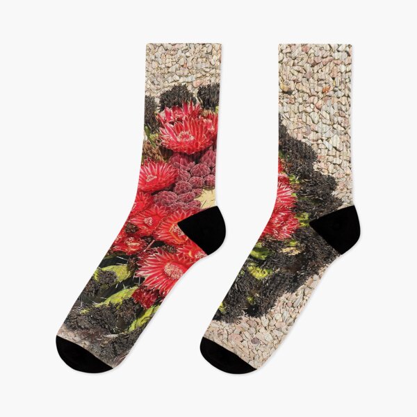 Item preview, Red Beautiful Barrel Cactus Flowers designed and sold by simonjayphotos.