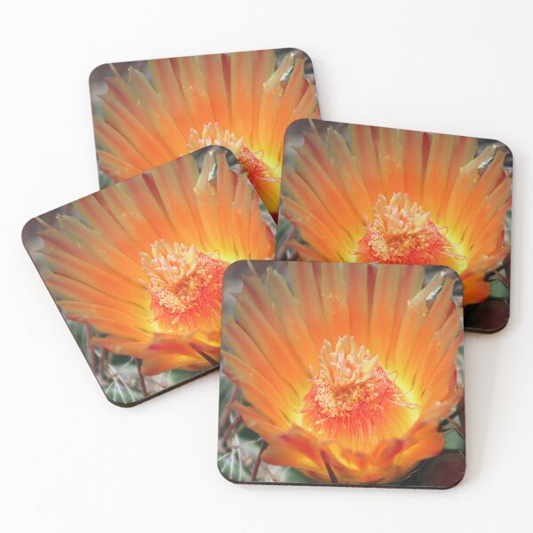 Item preview, Gorgeous Barrel Cactus Flower designed and sold by simonjayphotos.