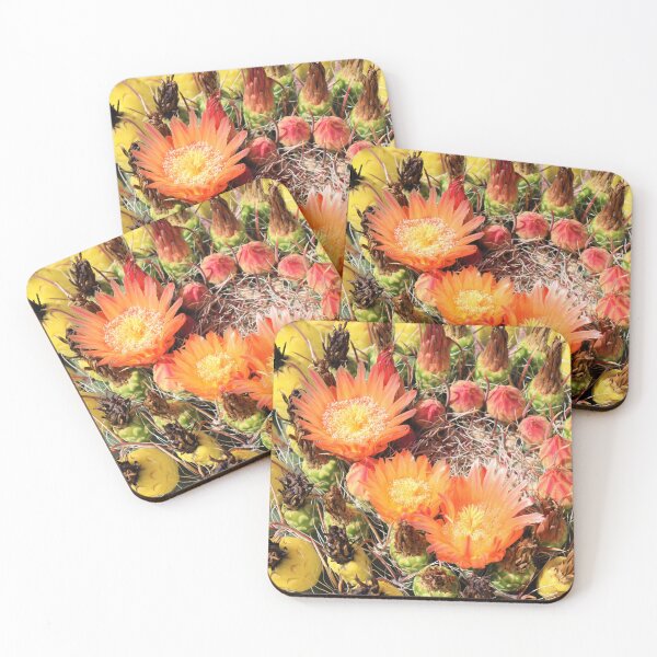 Item preview, Lovely Barrel Cactus Flowers And Fruit  designed and sold by simonjayphotos.