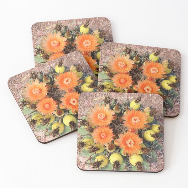 Item preview, Dazzling Barrel Cactus Flowers designed and sold by simonjayphotos.