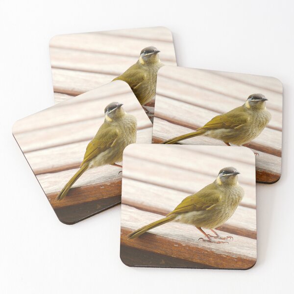Item preview, HONEYEATER ~ Lewin's Honeyeater DJIETPN4XF5 by David Irwin designed and sold by tasmanianartist.