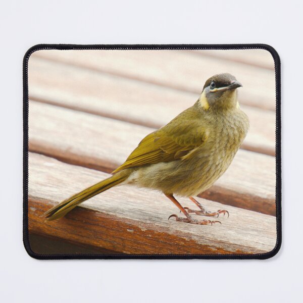 Item preview, HONEYEATER ~ Lewin's Honeyeater DJIETPN4XF5 by David Irwin designed and sold by tasmanianartist.