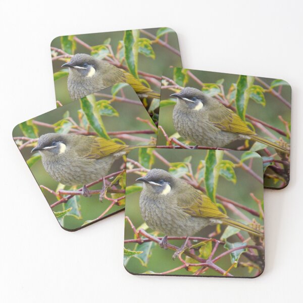 Item preview, HONEYEATER ~ Lewin's Honeyeater DJIRZCZ42PA by David Irwin designed and sold by tasmanianartist.