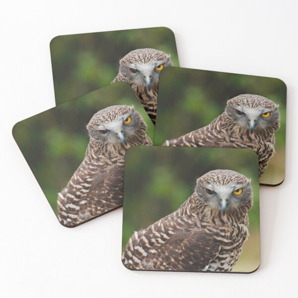 Item preview, NOCTURNAL ~ Powerful Owl DJI2D9MNF66 by David Irwin designed and sold by tasmanianartist.