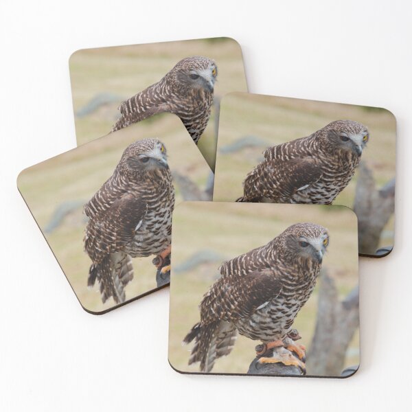 Item preview, NOCTURNAL ~ Powerful Owl DJISAHM56D3 by David Irwin designed and sold by tasmanianartist.