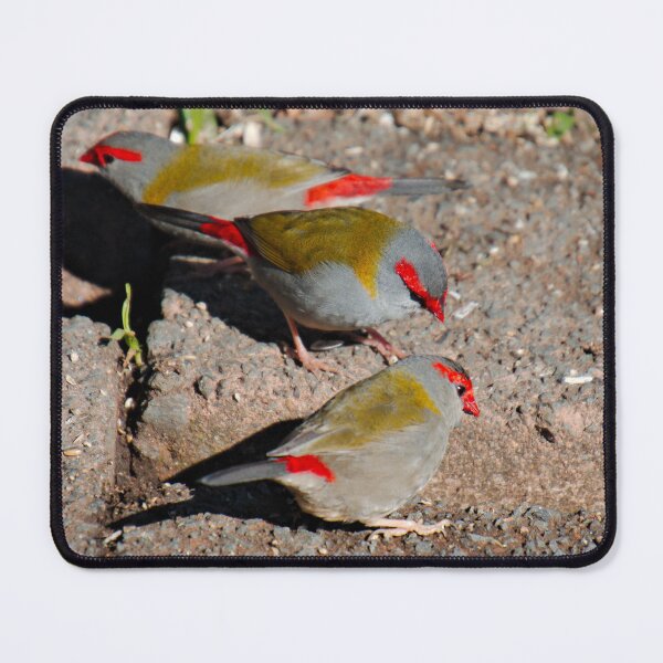 Item preview, FINCH ~ Red-browed Firetail DJIK77FF96G by David Irwin designed and sold by tasmanianartist.