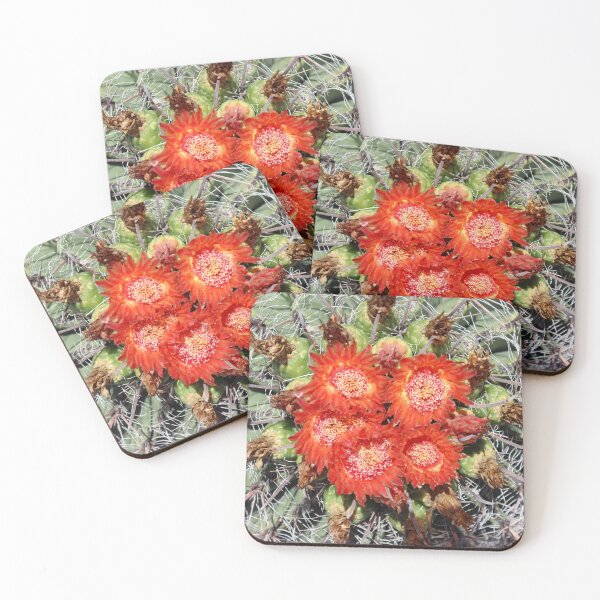 Item preview, Lovely Red Barrel Cactus designed and sold by simonjayphotos.