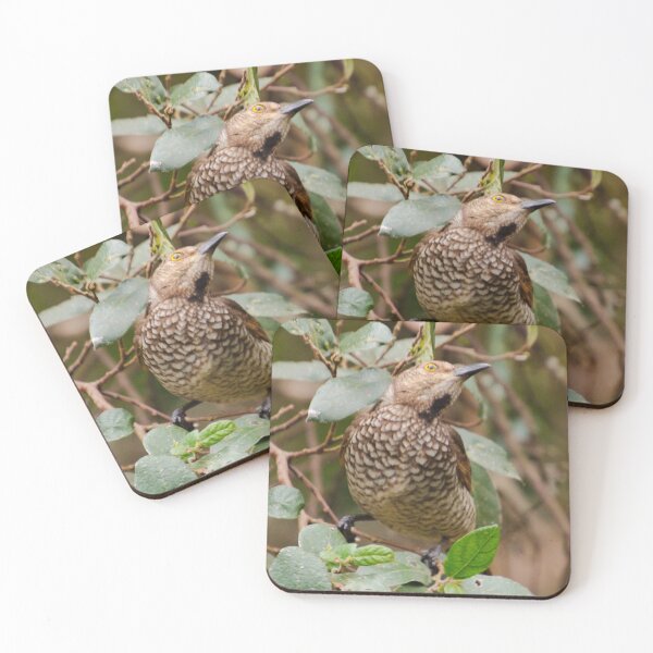 Item preview, BOWERBIRD ~ Regent Bowerbird (f) DJIYCA8PSWM by David Irwin designed and sold by tasmanianartist.