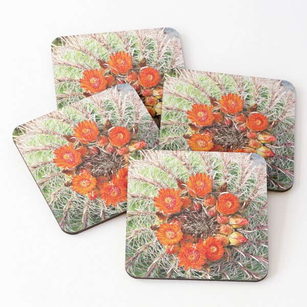 Item preview, Barrel Cactus Flowers Delight  designed and sold by simonjayphotos.