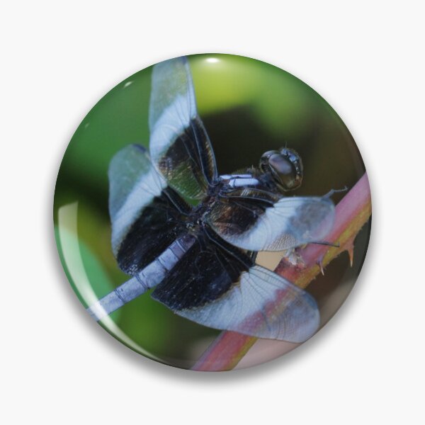 Item preview, Widow skimmer designed and sold by Parks and X.