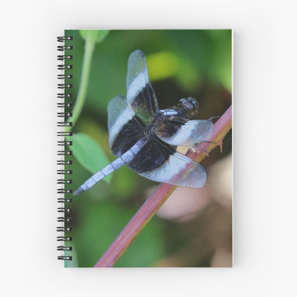 Item preview, Widow skimmer designed and sold by Parks and X.