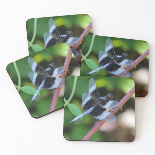 Item preview, Widow skimmer designed and sold by Parks and X.