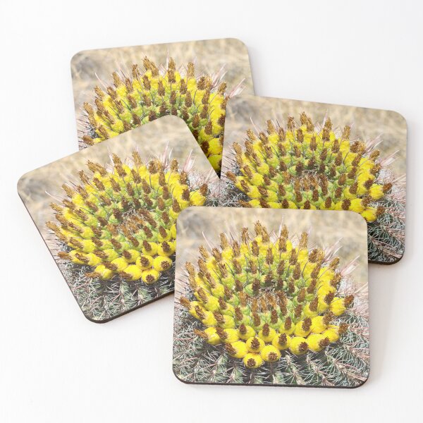 Item preview, Lovely Yellow Barrel Cactus Fruits designed and sold by simonjayphotos.