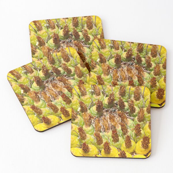 Item preview, Yellow Barrel Cactus Fruits Time designed and sold by simonjayphotos.