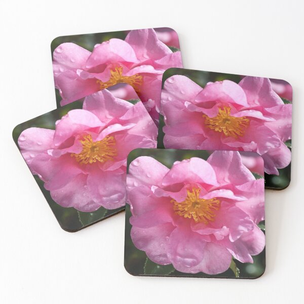 Item preview, Pink Camellia Brightens Winter  designed and sold by Joy Watson - Natural Light Photography .