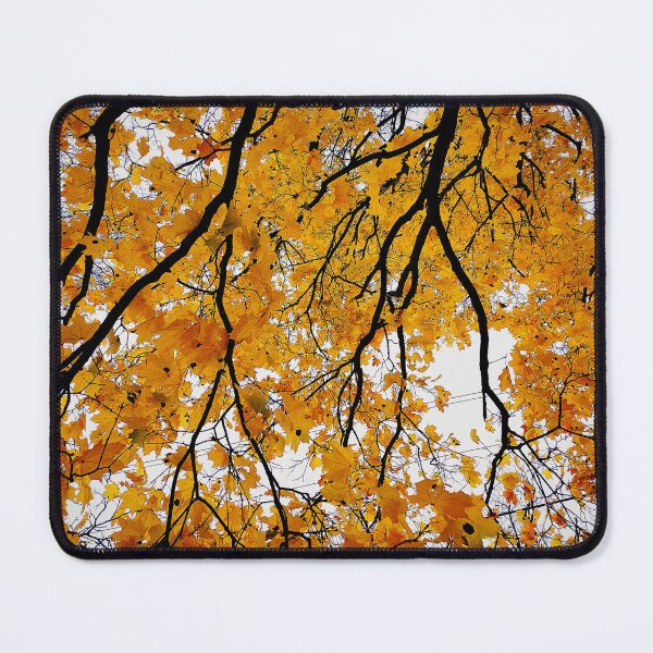 Item preview, Autumn Leaves designed and sold by CactusSlushie.