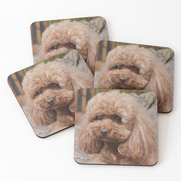 Item preview, Cute Portrait of Poodle Dog designed and sold by VanGaldo.
