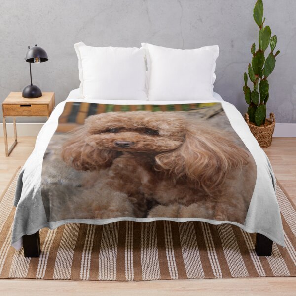Item preview, Cute Portrait of Poodle Dog designed and sold by VanGaldo.