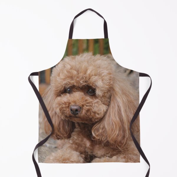 Item preview, Cute Portrait of Poodle Dog designed and sold by VanGaldo.