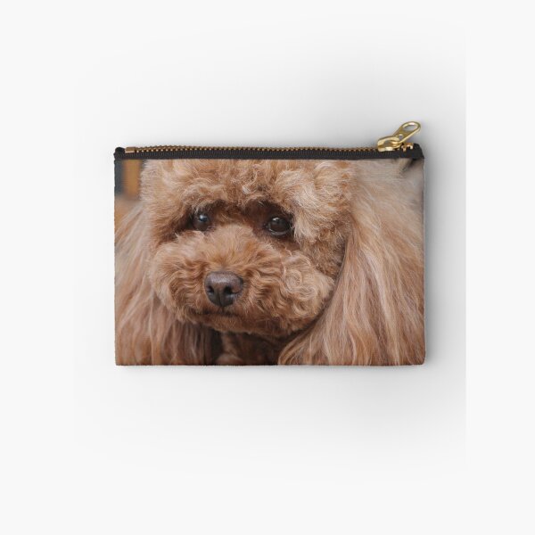 Item preview, Cute Portrait of Poodle Dog designed and sold by VanGaldo.