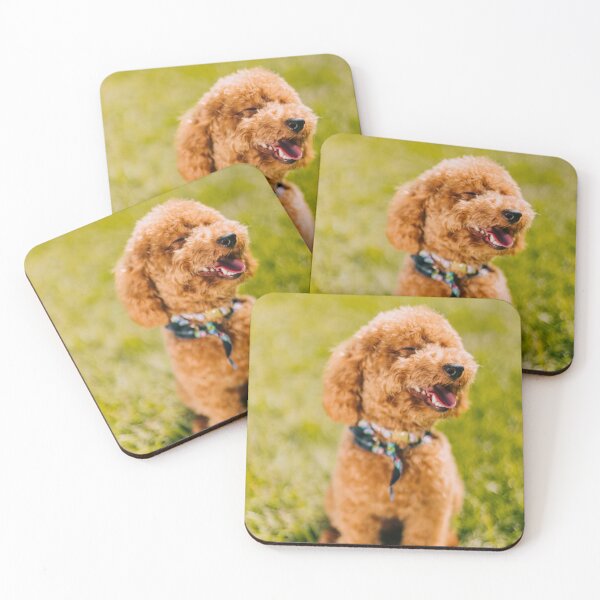 Item preview, Poodle Dog Sitting Happily on the Grass designed and sold by VanGaldo.