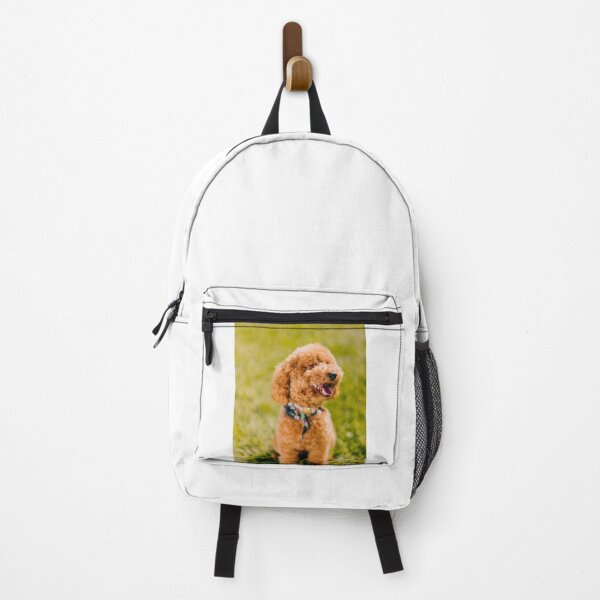 Item preview, Poodle Dog Sitting Happily on the Grass designed and sold by VanGaldo.