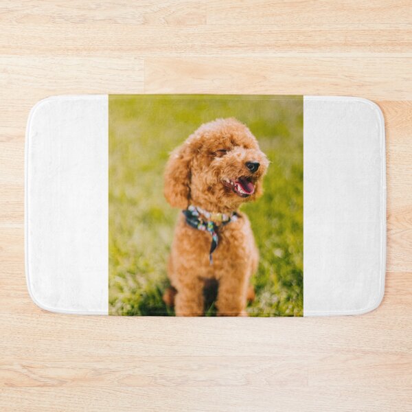 Item preview, Poodle Dog Sitting Happily on the Grass designed and sold by VanGaldo.
