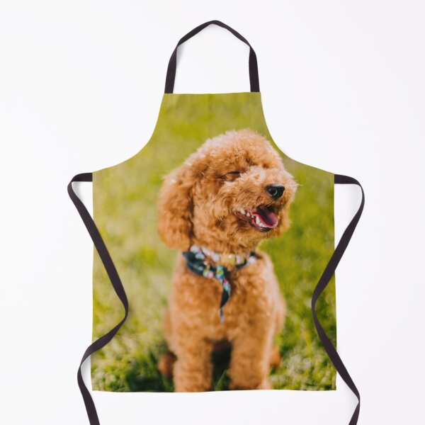 Item preview, Poodle Dog Sitting Happily on the Grass designed and sold by VanGaldo.
