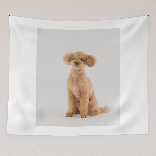 Item preview, Poodle Dog Sitting  designed and sold by VanGaldo.
