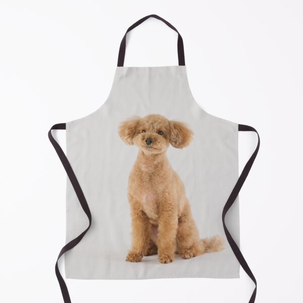 Item preview, Poodle Dog Sitting  designed and sold by VanGaldo.