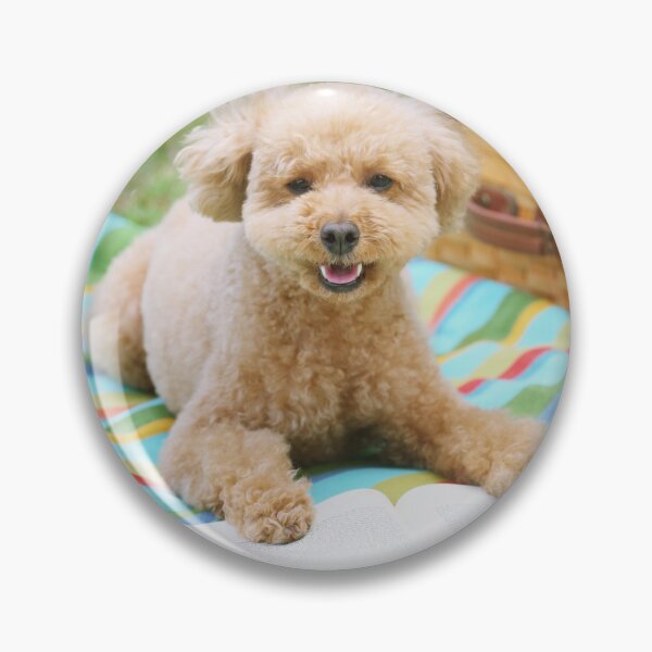 Item preview, Poodle Dog Reading Book designed and sold by VanGaldo.