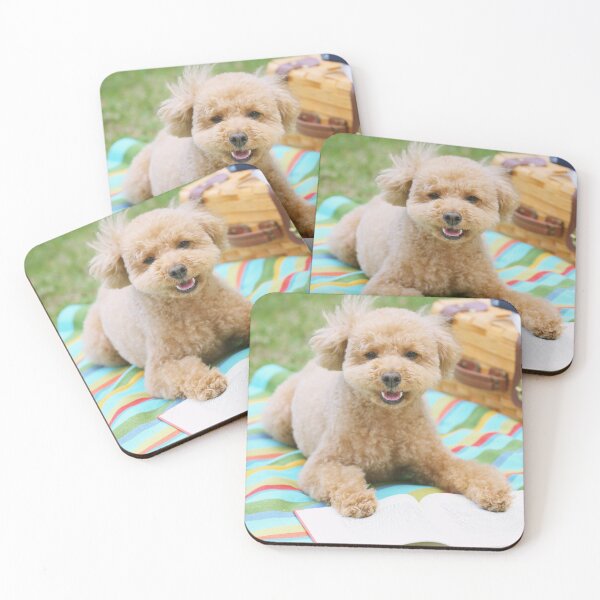 Item preview, Poodle Dog Reading Book designed and sold by VanGaldo.