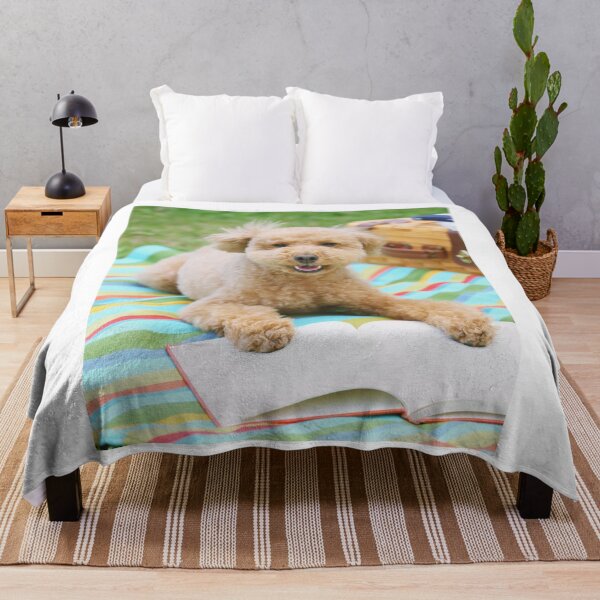 Item preview, Poodle Dog Reading Book designed and sold by VanGaldo.