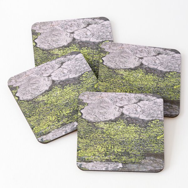 Item preview, lichen designed and sold by KathleenDawson.