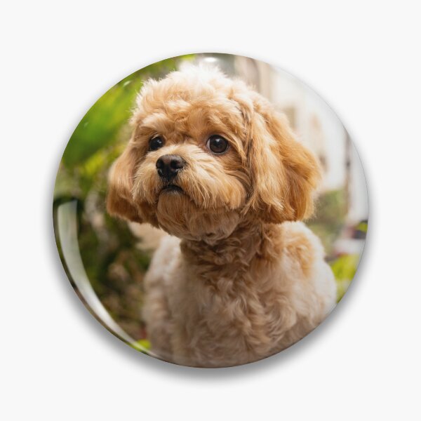 Item preview, Cute Poodle Dog designed and sold by VanGaldo.