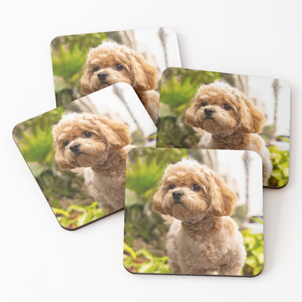 Item preview, Cute Poodle Dog designed and sold by VanGaldo.