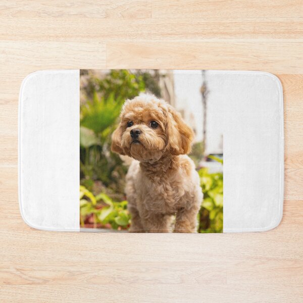 Item preview, Cute Poodle Dog designed and sold by VanGaldo.