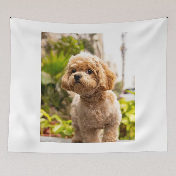 Item preview, Cute Poodle Dog designed and sold by VanGaldo.