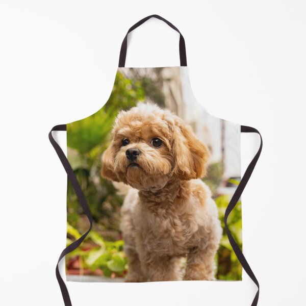 Item preview, Cute Poodle Dog designed and sold by VanGaldo.
