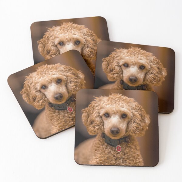 Item preview, Beautiful Poodle Dog designed and sold by VanGaldo.