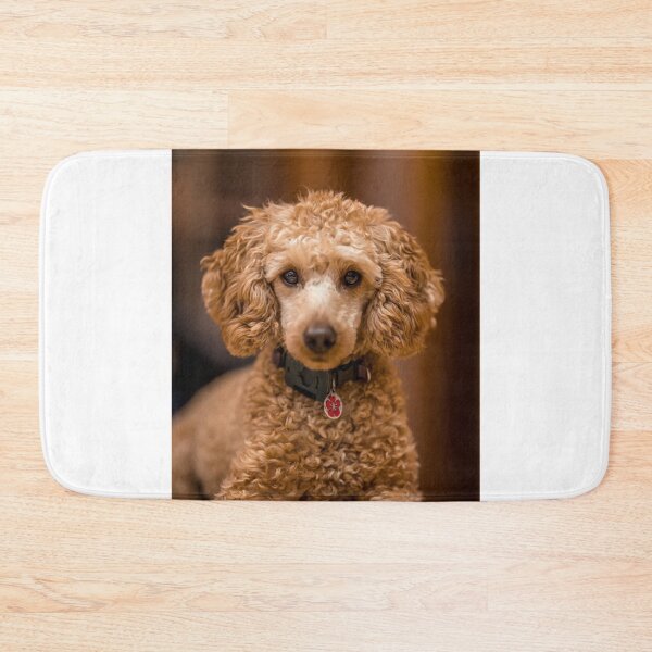 Item preview, Beautiful Poodle Dog designed and sold by VanGaldo.