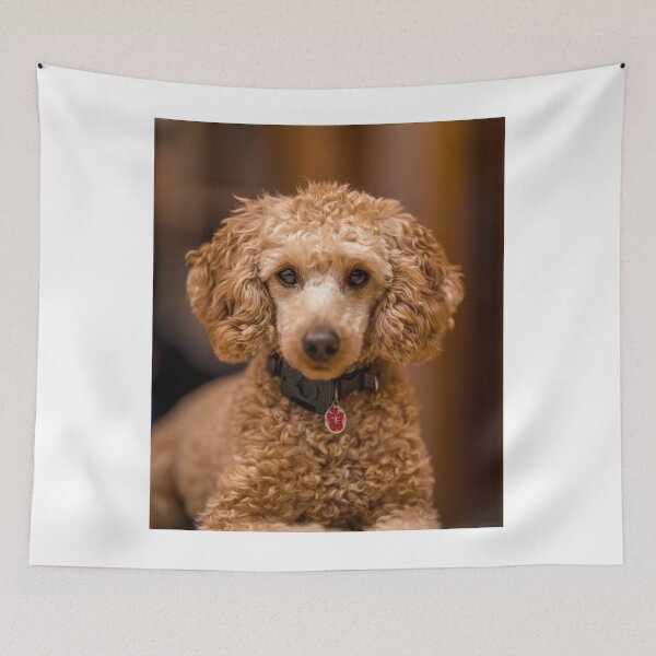 Item preview, Beautiful Poodle Dog designed and sold by VanGaldo.