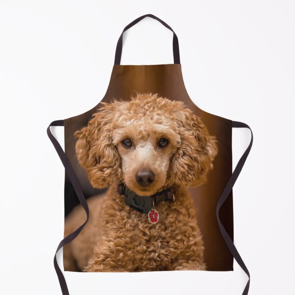 Item preview, Beautiful Poodle Dog designed and sold by VanGaldo.