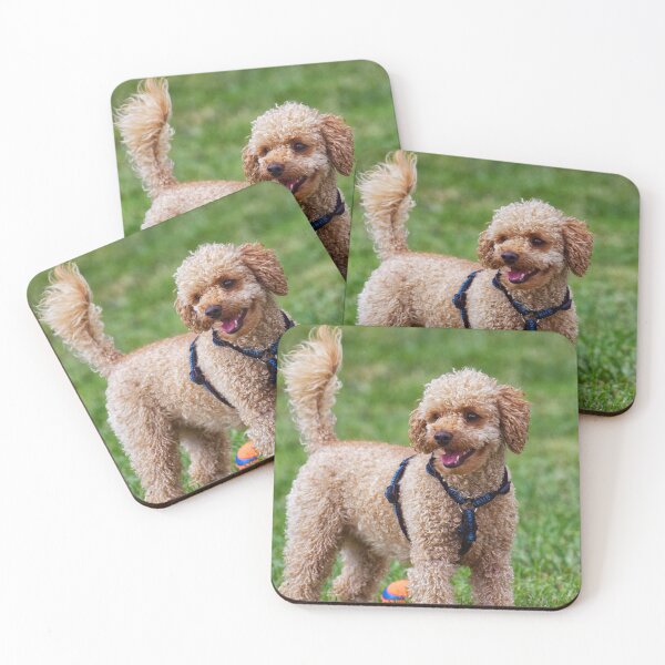 Item preview, Poodle Dog Playing at the Park designed and sold by VanGaldo.