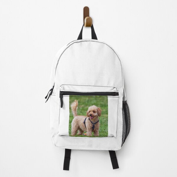 Item preview, Poodle Dog Playing at the Park designed and sold by VanGaldo.