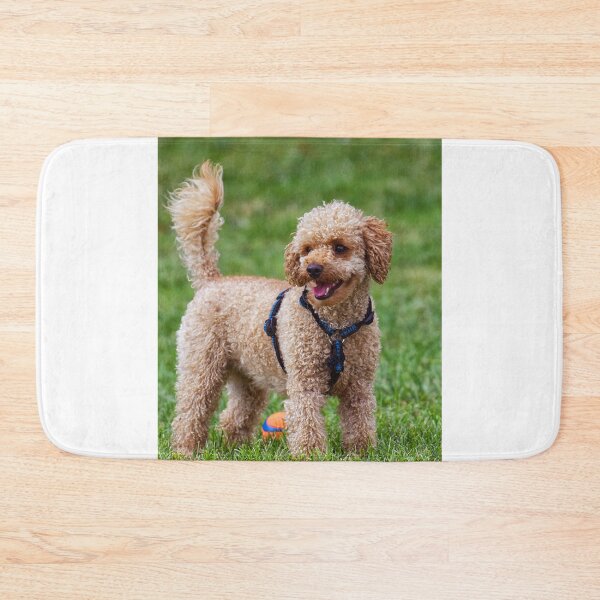 Item preview, Poodle Dog Playing at the Park designed and sold by VanGaldo.