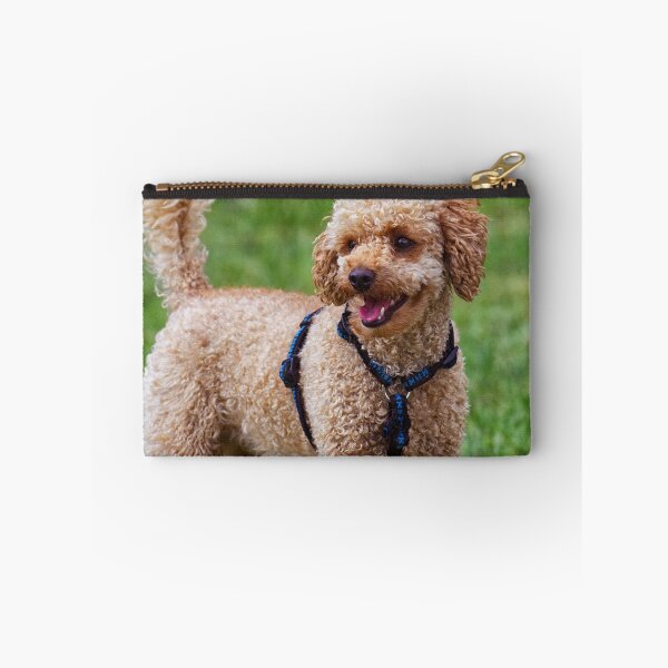 Item preview, Poodle Dog Playing at the Park designed and sold by VanGaldo.